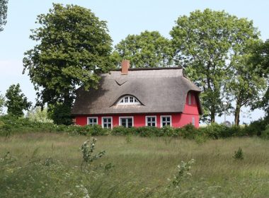 Jak suszyć drewno na dach
